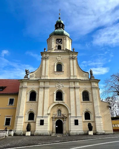 Bazylika Wniebowzięcia Najświętszej Maryi Panny w Rudach